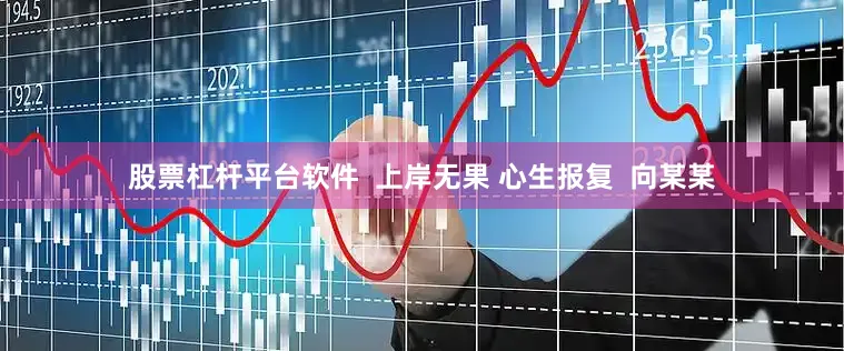 股票杠杆平台软件  上岸无果 心生报复  向某某