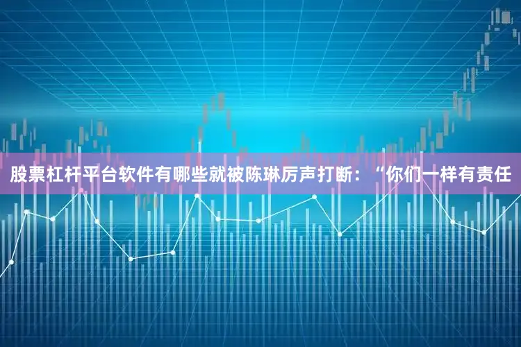 股票杠杆平台软件有哪些就被陈琳厉声打断：“你们一样有责任