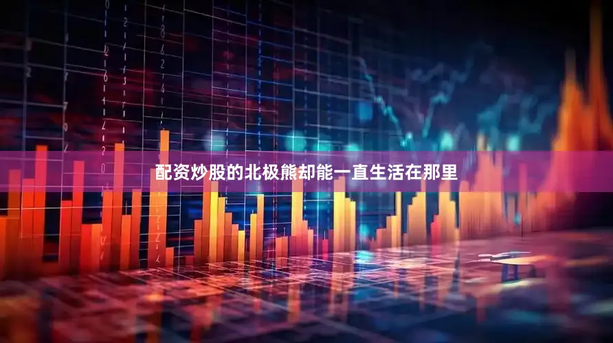 配资炒股的北极熊却能一直生活在那里